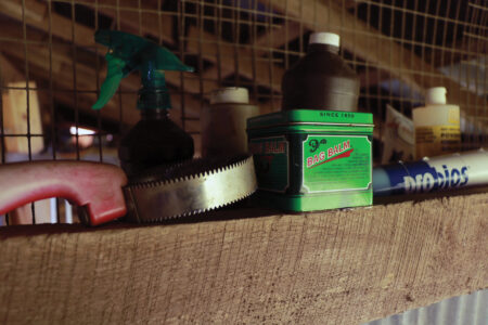 Prepare a Home Dairy First Aid Kit Image